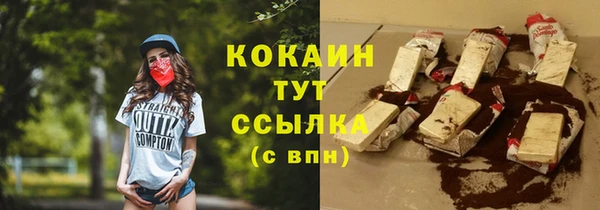 молекула духа Алексеевка