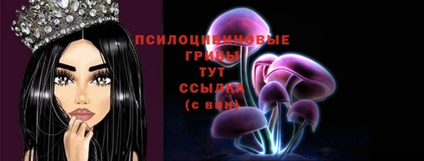 молекула духа Алексеевка