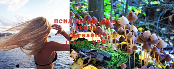 прущая мука Алексин